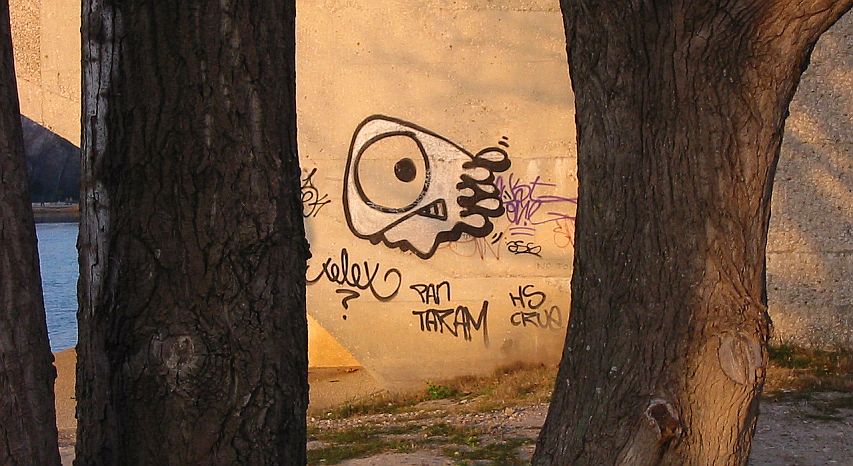 graffiti fish